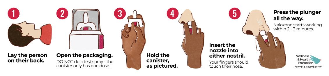 A visual depiction of how to administer Naloxone - the instructions are the same as what is on this page.